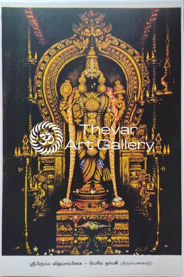 Artist Silpi vintage print - Thevar art gallery