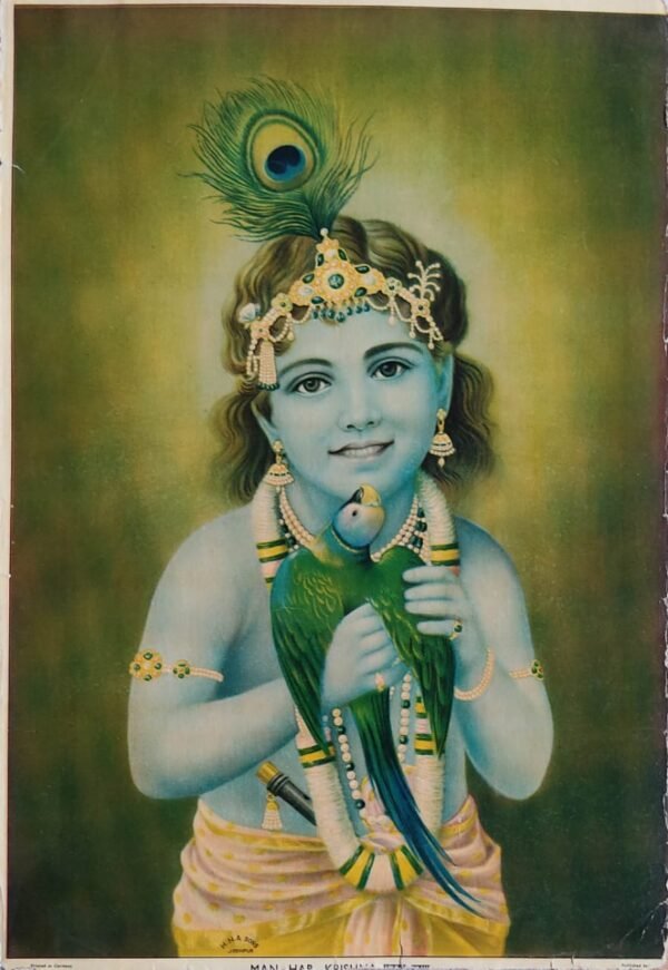 Krishna | Parrot Krishna