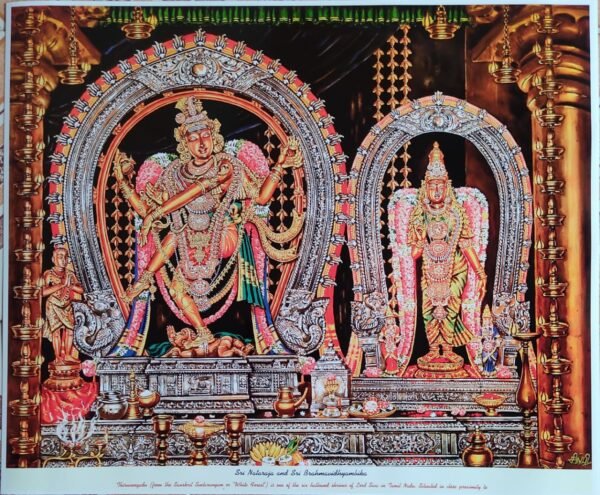 Sri Natrajar | Brahmavidhyambika