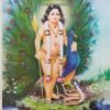 Mayurapriya Murugan| Kartikeya | Skanda