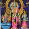 Artist C.Kondiah raju antique Vintage print - Thevar art gallery