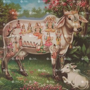 Artist C.Kondiah raju antique vintage paintings - Thevar art gallery