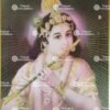 Flute Krishna