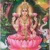 Artist Silpi Thiyakarajara antique Vintage print - Thevar art gallery