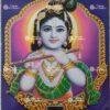 Krishna | Kanhaji | Shyam