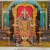 Tirupati Balaji | Venkateswara | Srinivasa