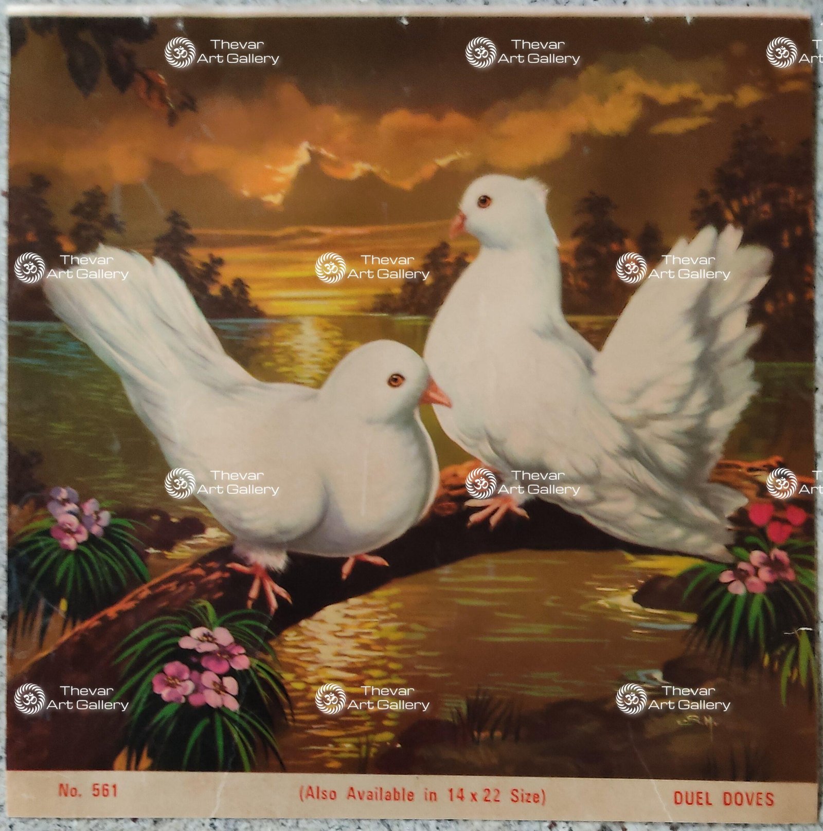 Love Birds