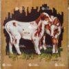 Cow