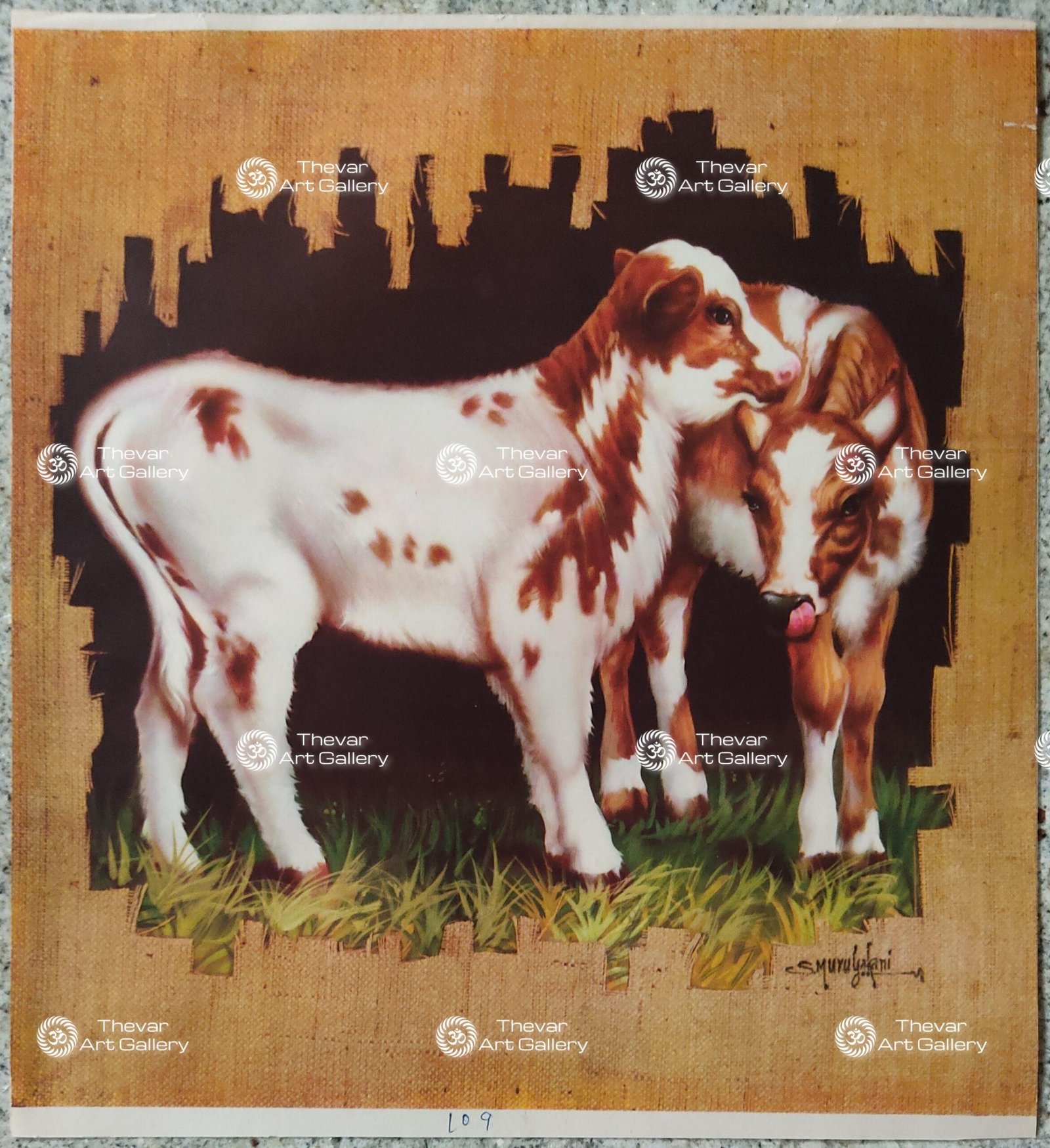 Cow