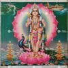 Murugan | kartikeya | Idaten | Velan | Wei Tuo Pu Sa