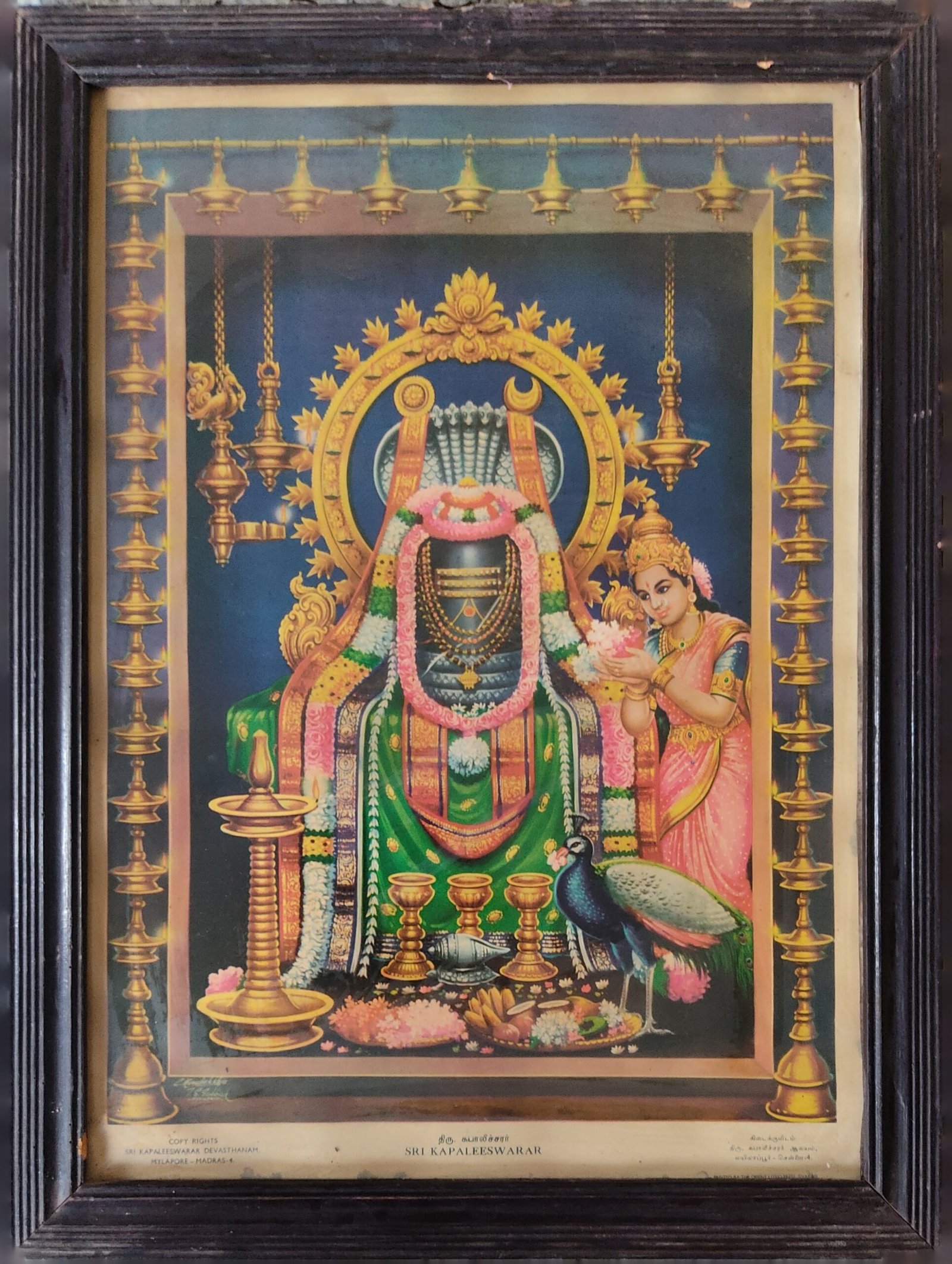 Sri Kabaleeswarar