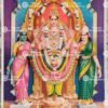 Thiruchendur Sri Murugan | Murugan - Valli - Deivanai