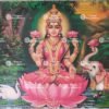 Lakshmi devi | Laxmi devi