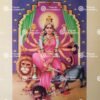 Durga devi | Durga Mata | Kali devi | Ambaji