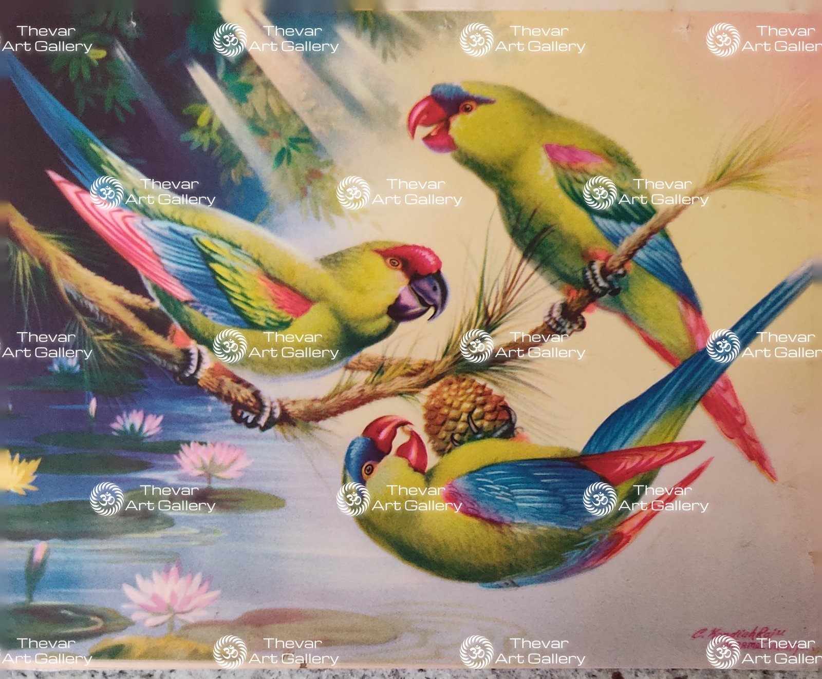 Parrot