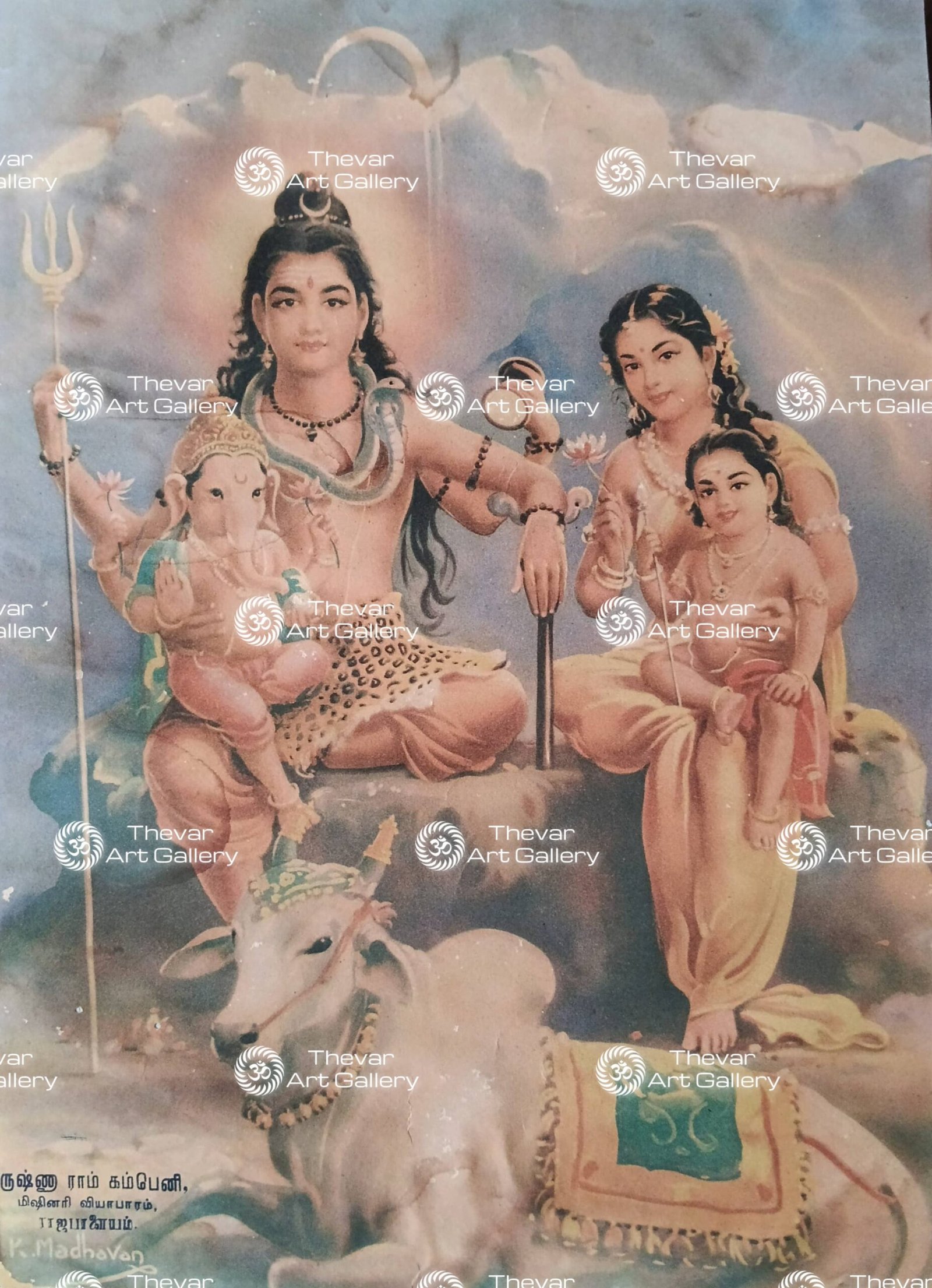 Shiva family