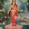 Lakshmi devi | Laxmi devi