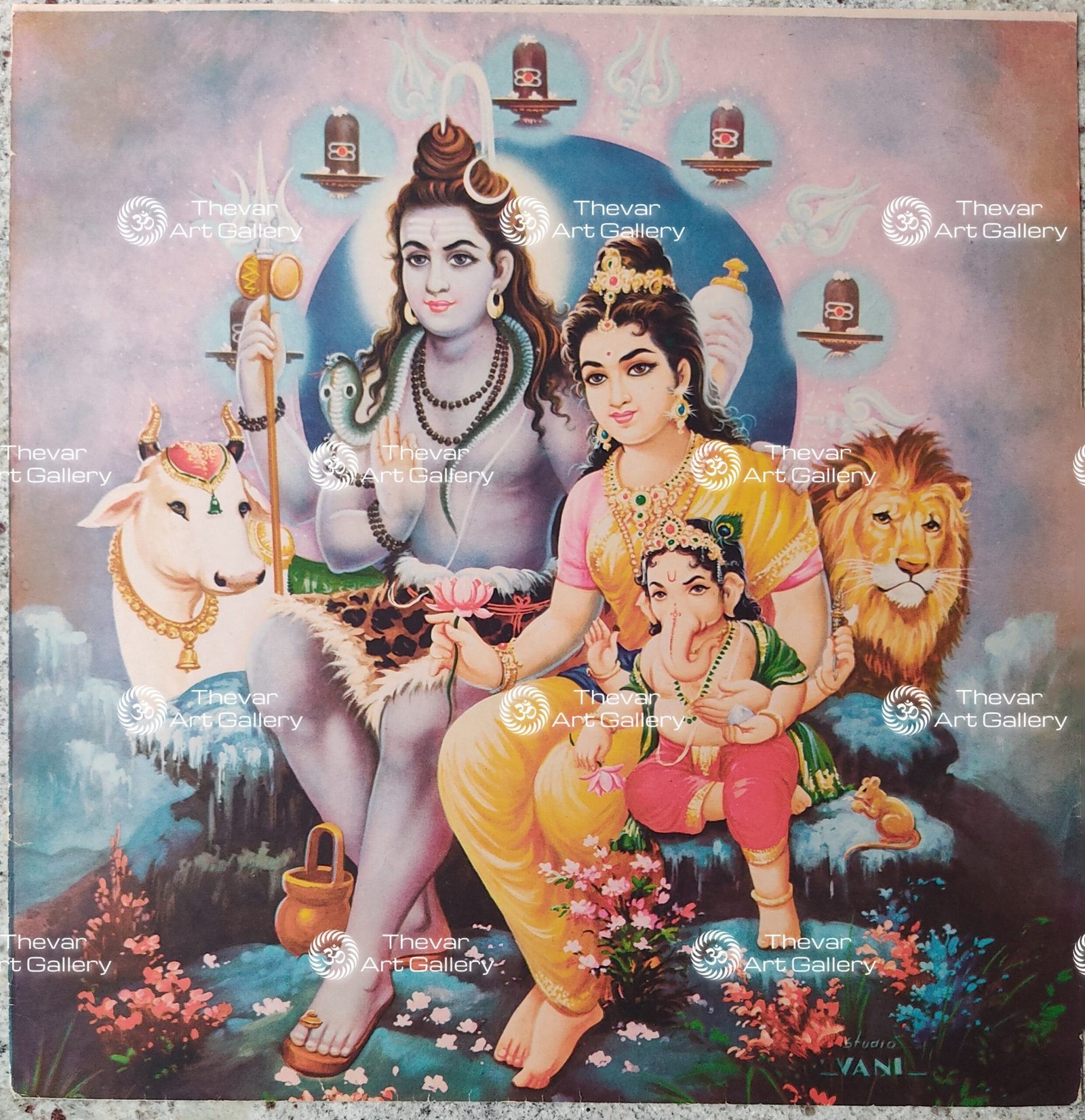 Shiva family