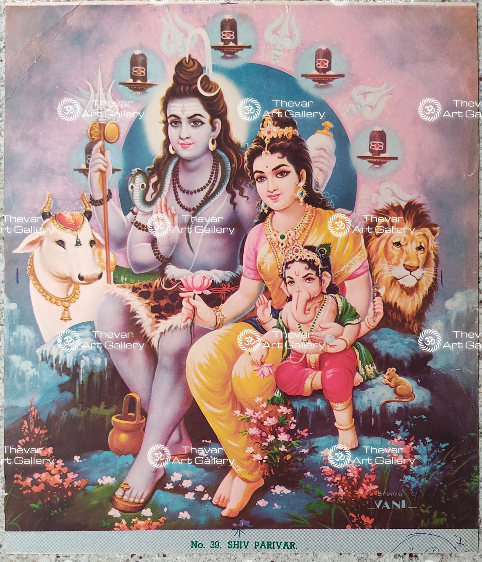 Shiva family