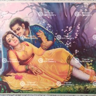 Salim | Anarkali