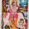 Flute Krishna  | Gopala Krishna