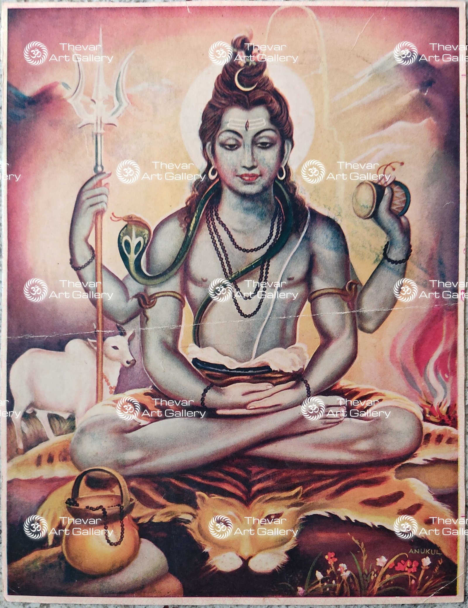 Shiva