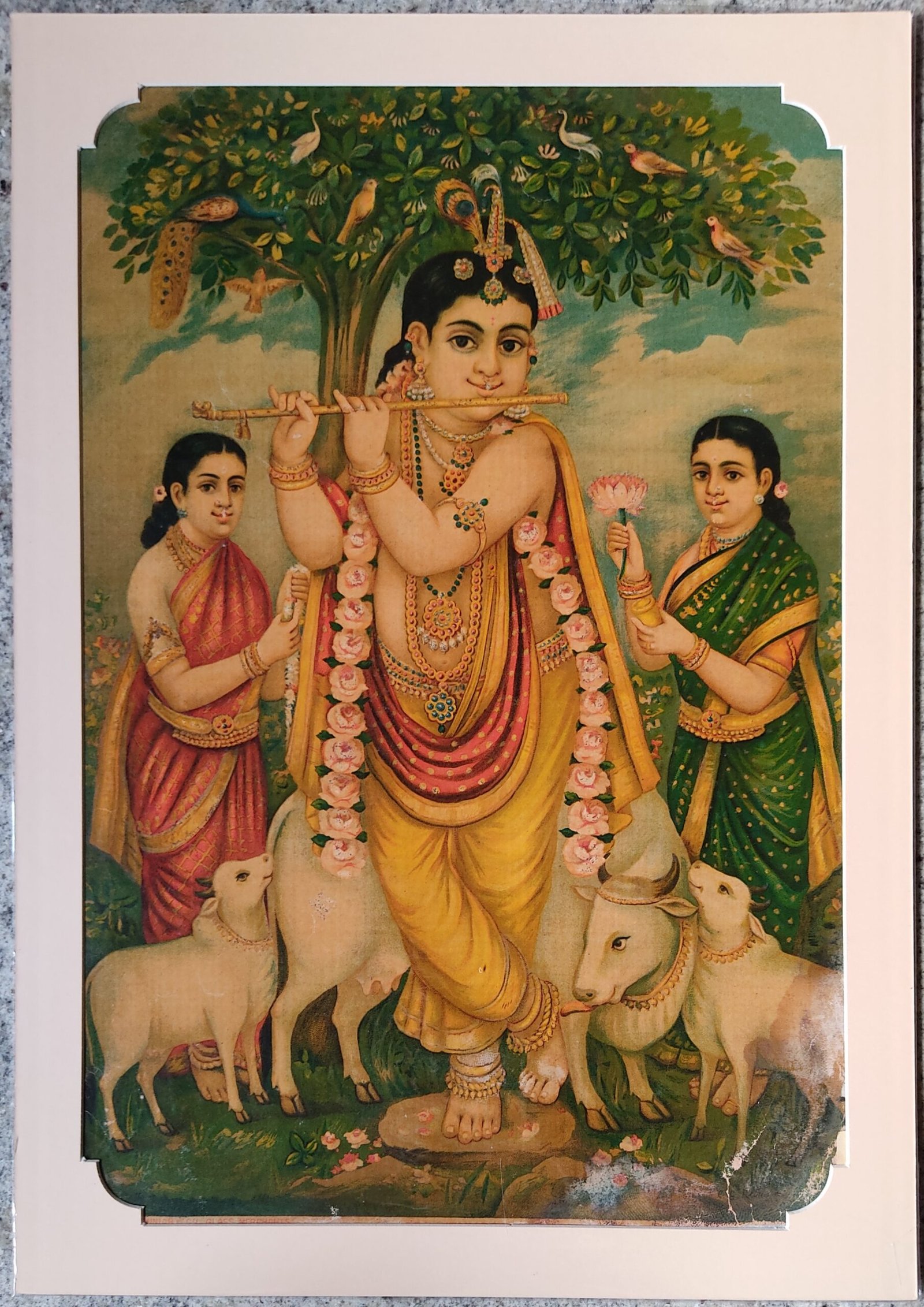 Sri Venugopal | Krishna | Kanhaji