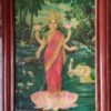 Shree Laxmi | Lakshmi devi