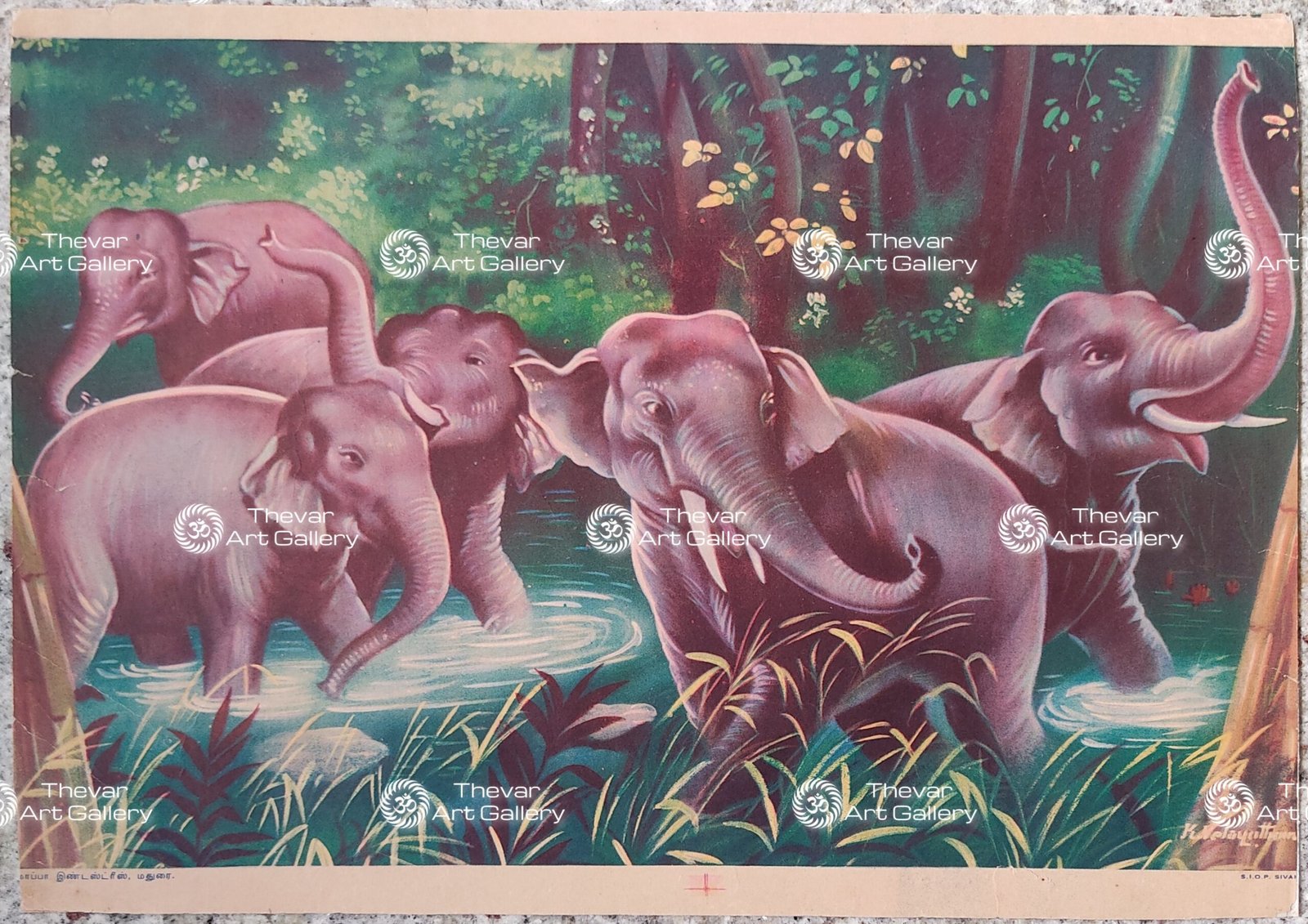 Elephant