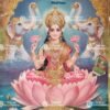 Sri Lakshmi | Laxmi